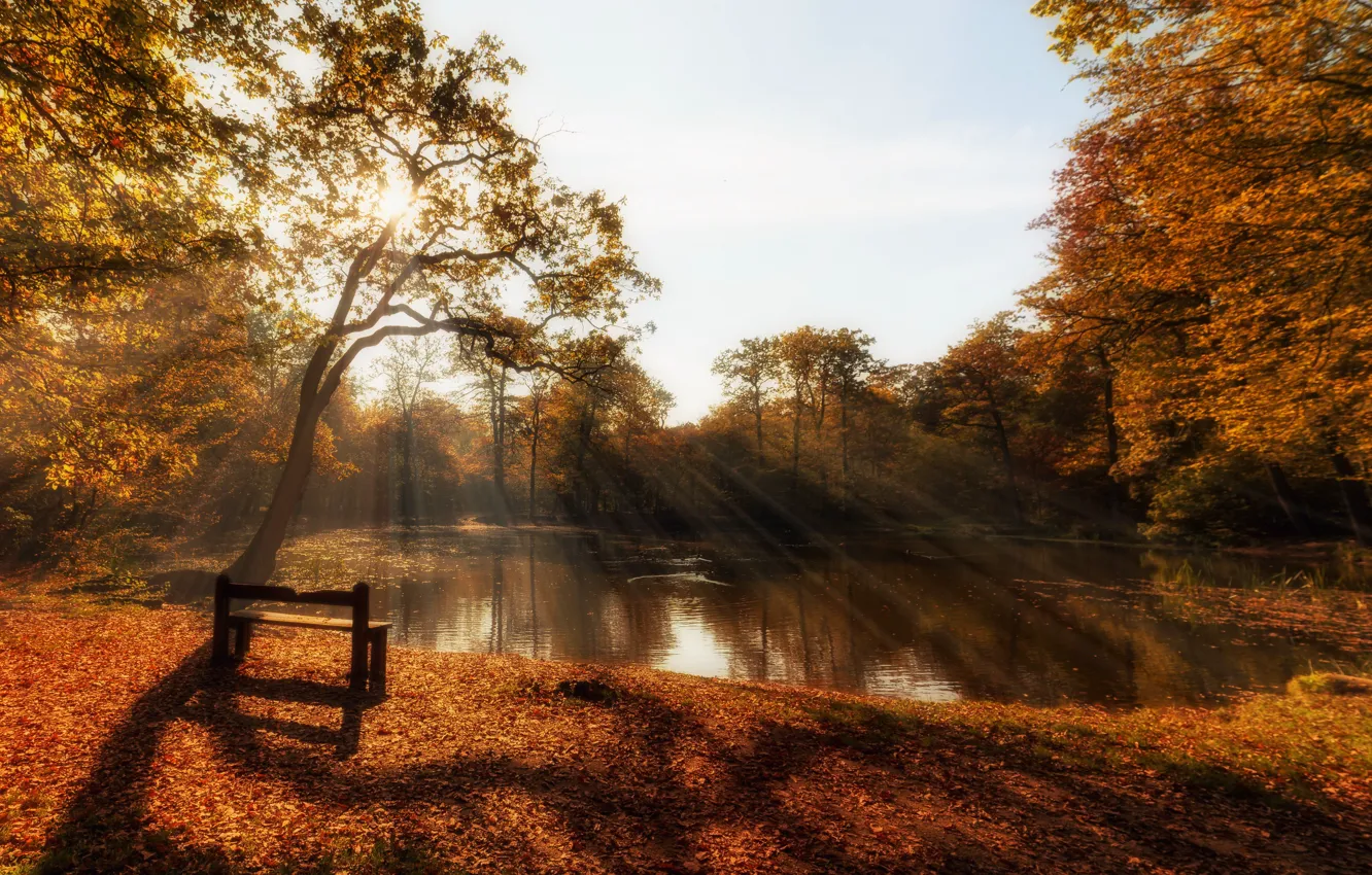 Photo wallpaper autumn, lake, bench