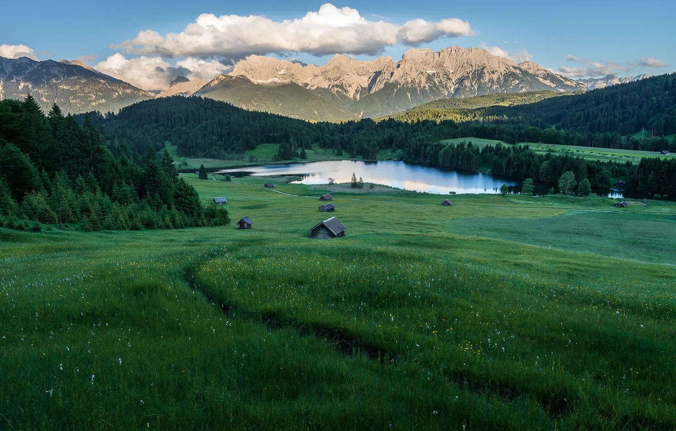 Photo wallpaper greens, field, forest, summer, the sky, grass, clouds, landscape