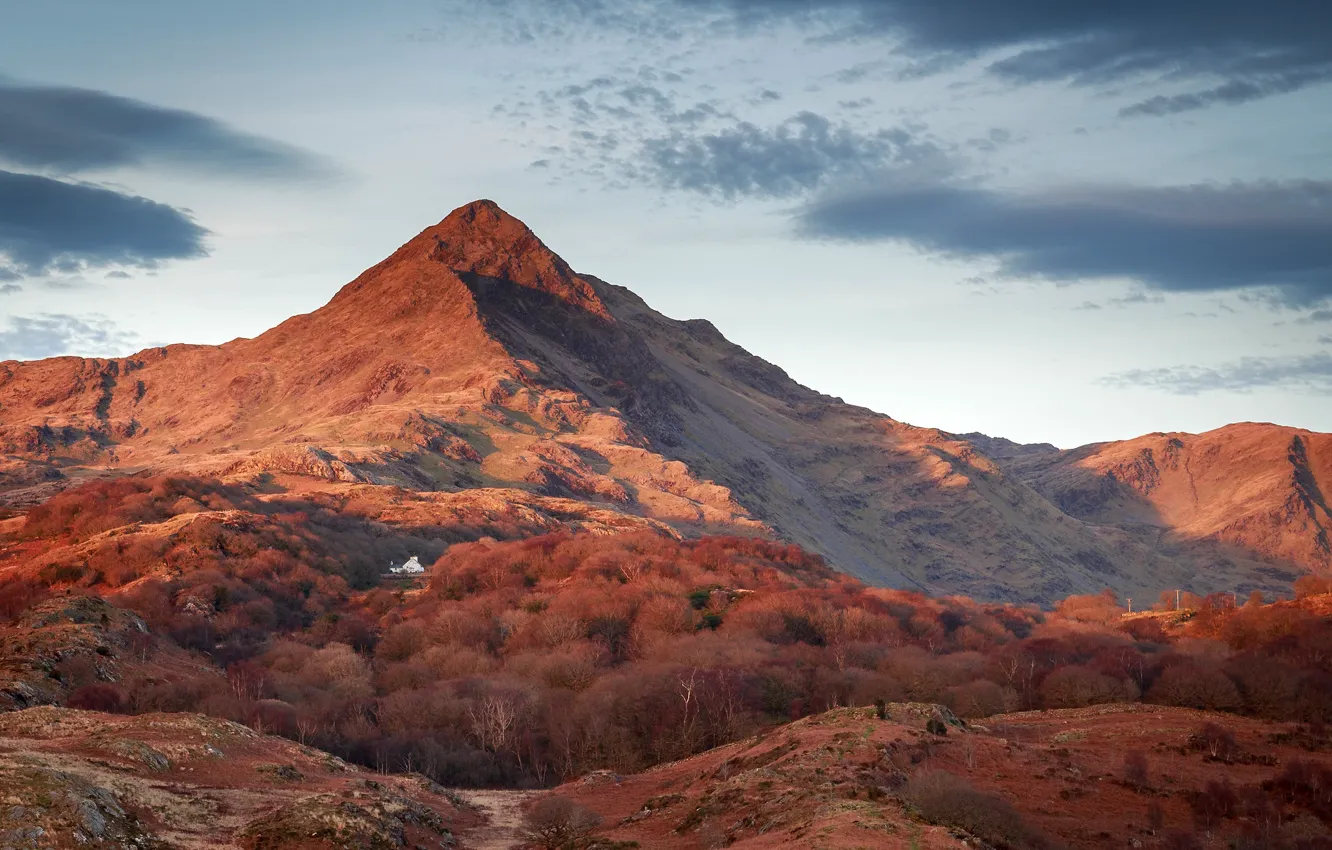 Photo wallpaper the sky, the sun, clouds, trees, mountains, home, UK, Wales