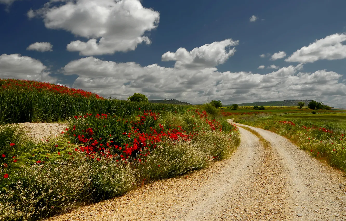 Photo wallpaper road, the sky, clouds, trees, flowers, hills, plant