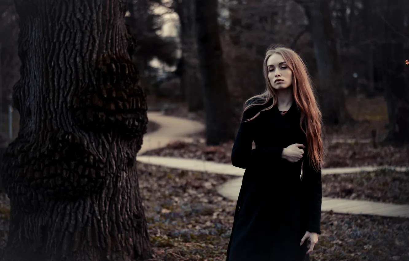 Photo wallpaper look, girl, Park, model, portrait, Catherine, light, beautiful