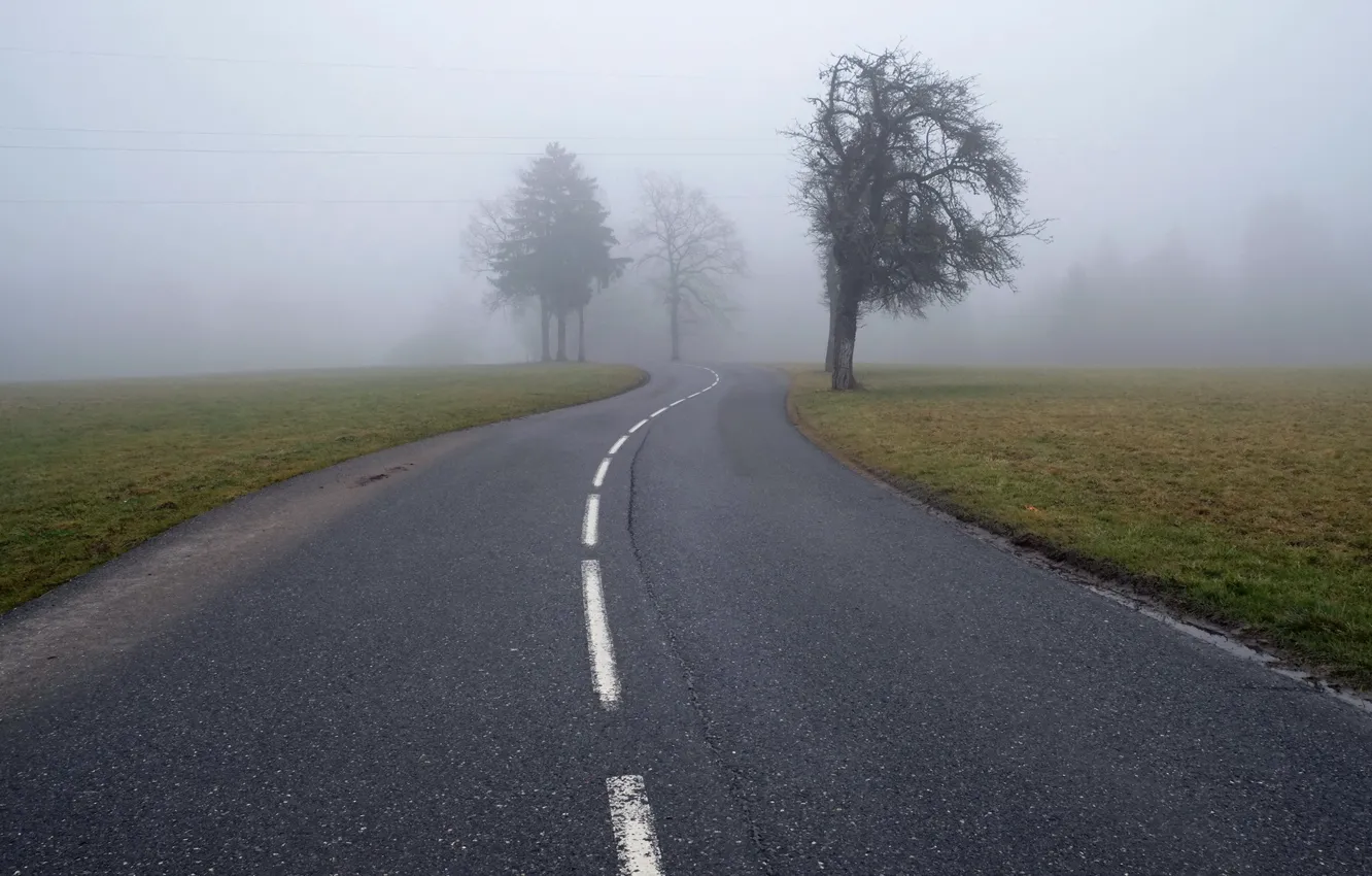 Photo wallpaper road, landscape, fog