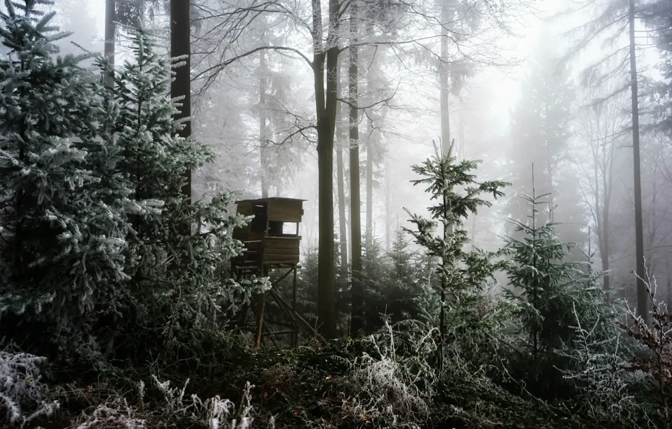 Photo wallpaper winter, forest, fog, tower
