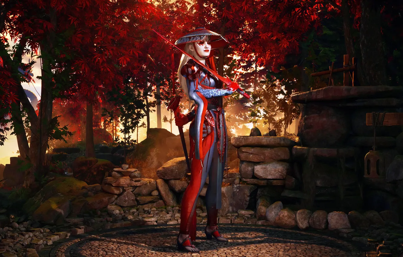 Photo wallpaper sword, Mk1, combat, swordplay, Ashrah, Mortalkombat1