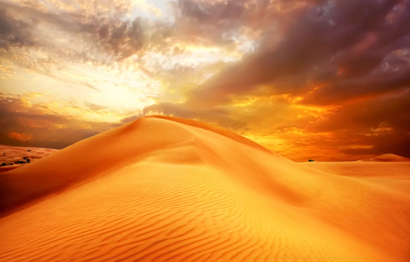 Photo wallpaper sand, the sky, clouds, landscape, nature, desert, dunes, sunrise