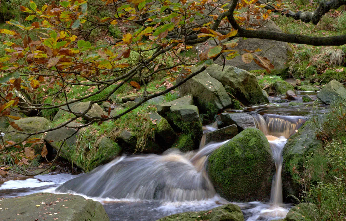 Photo wallpaper autumn, river, stream, stones