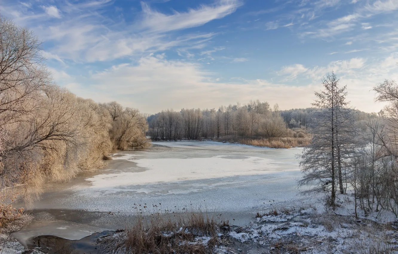 Photo wallpaper winter, frost, forest, trees, nature, Ruslan Vostrikov