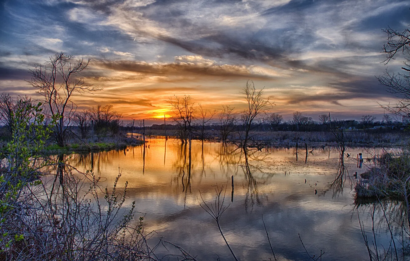 Photo wallpaper the sun, clouds, trees, sunset, spring, spill