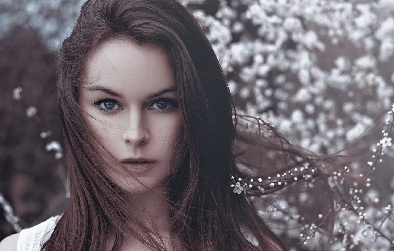 Photo wallpaper eyes, girl, portrait, brunette