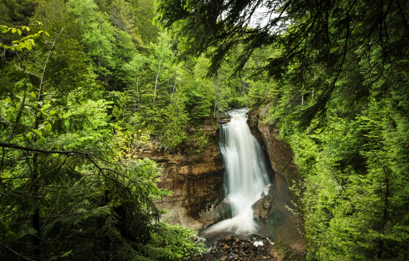 Photo wallpaper forest, trees, stream, stones, open, rocks, waterfall, USA
