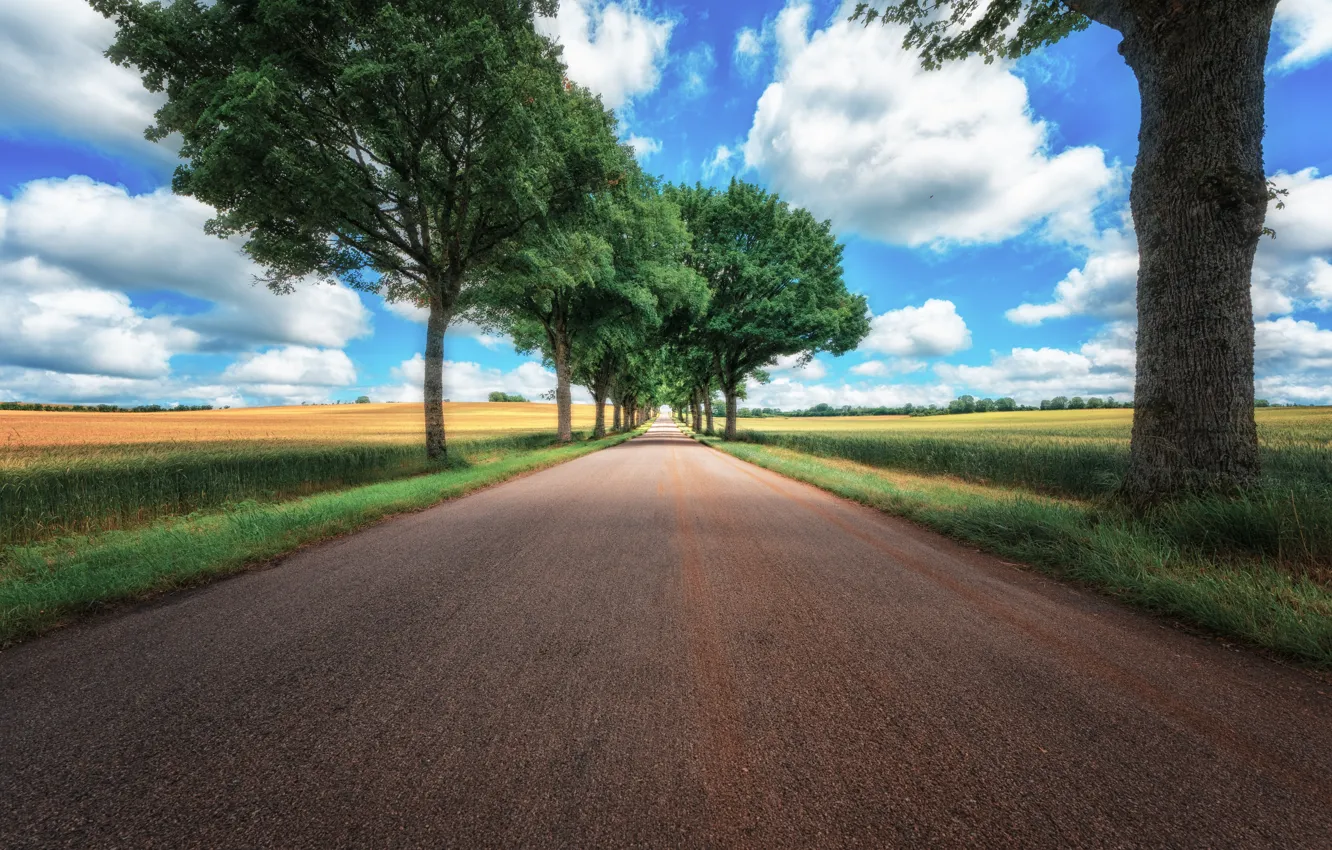 Photo wallpaper road, field, summer, grass, clouds, trees, blue, movement