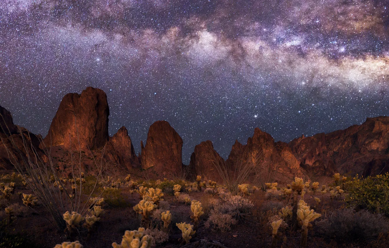 Photo wallpaper mountains, night, cactus