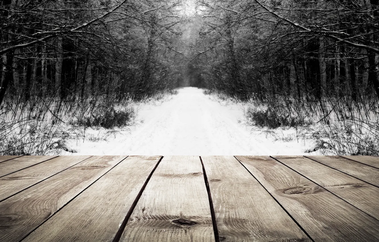 Photo wallpaper road, trees, Board, Forest, b/W, clearing, flooring