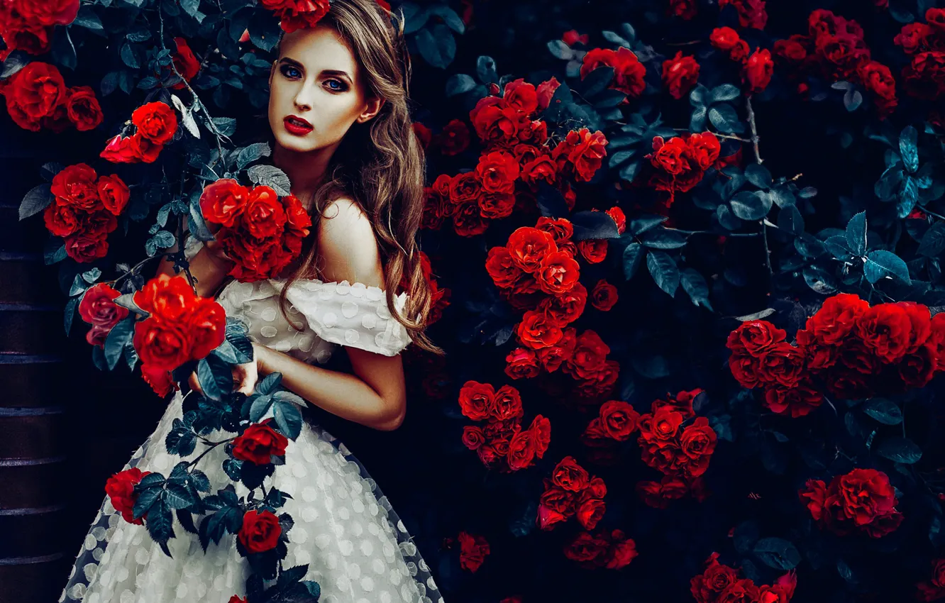 Photo wallpaper girl, flowers, roses, dress, rose Bush, Ruslan Bolgov