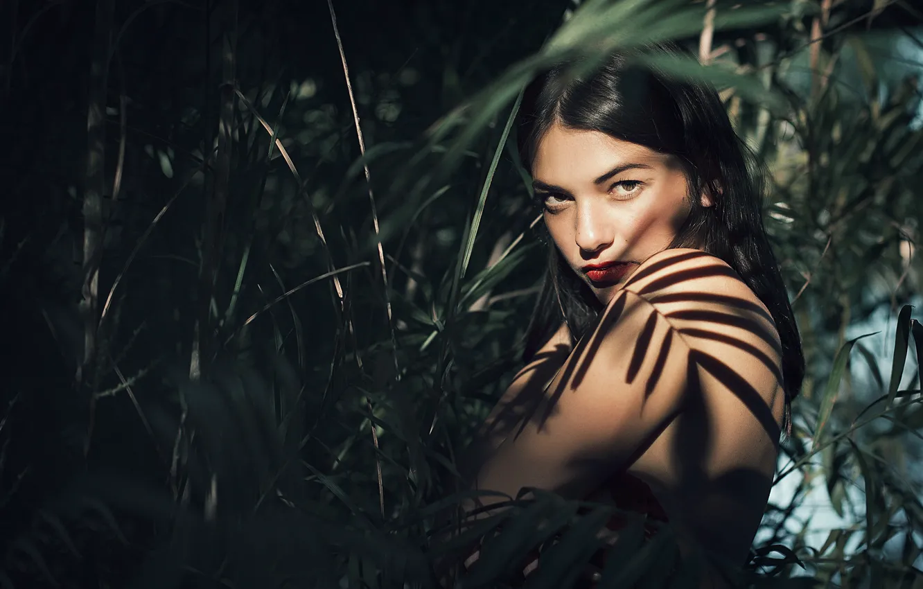 Photo wallpaper look, girl, shadow, Sara