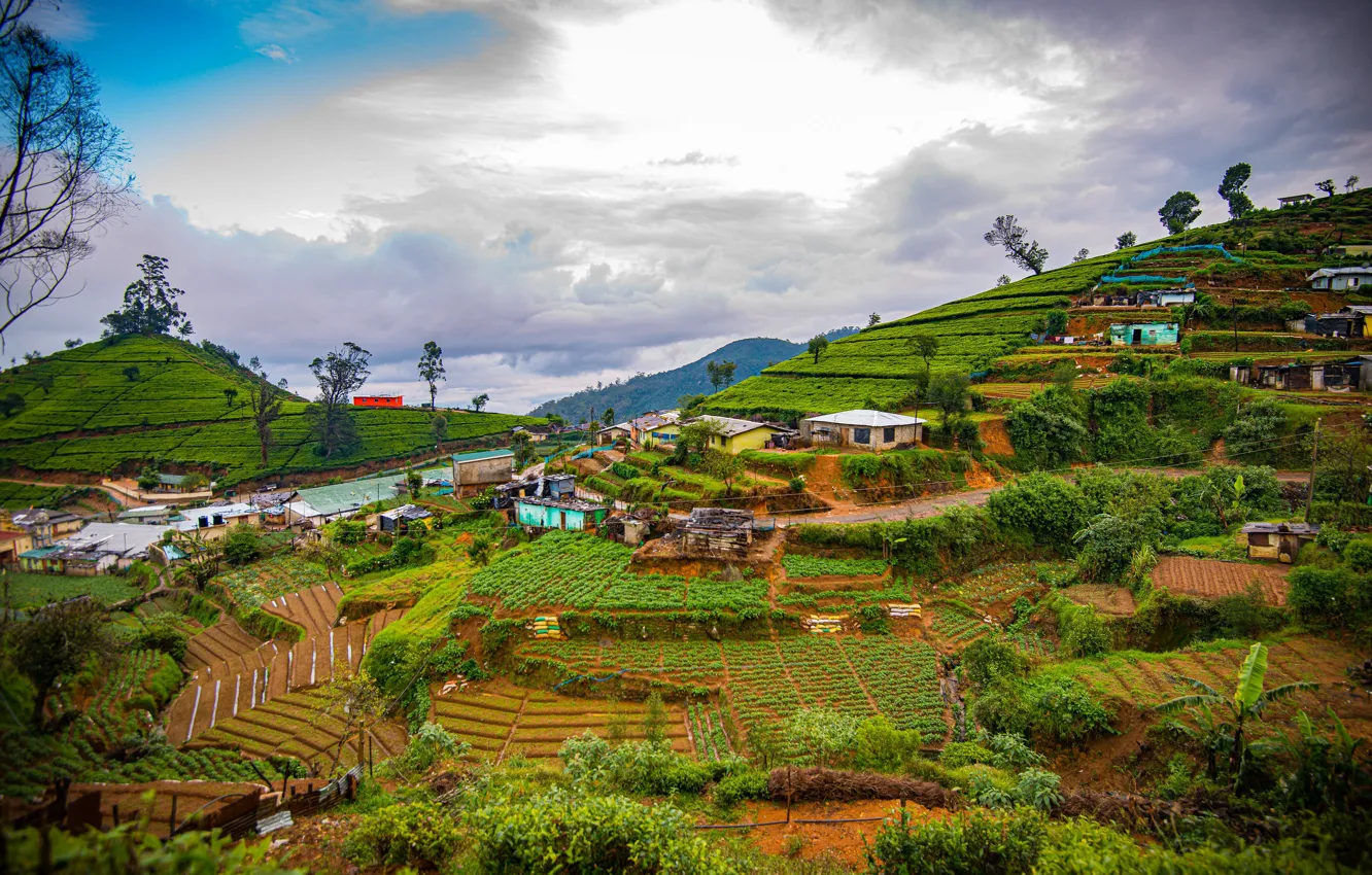 Photo wallpaper mountains, slope, house, Sri Lanka, Nuwara Eliya