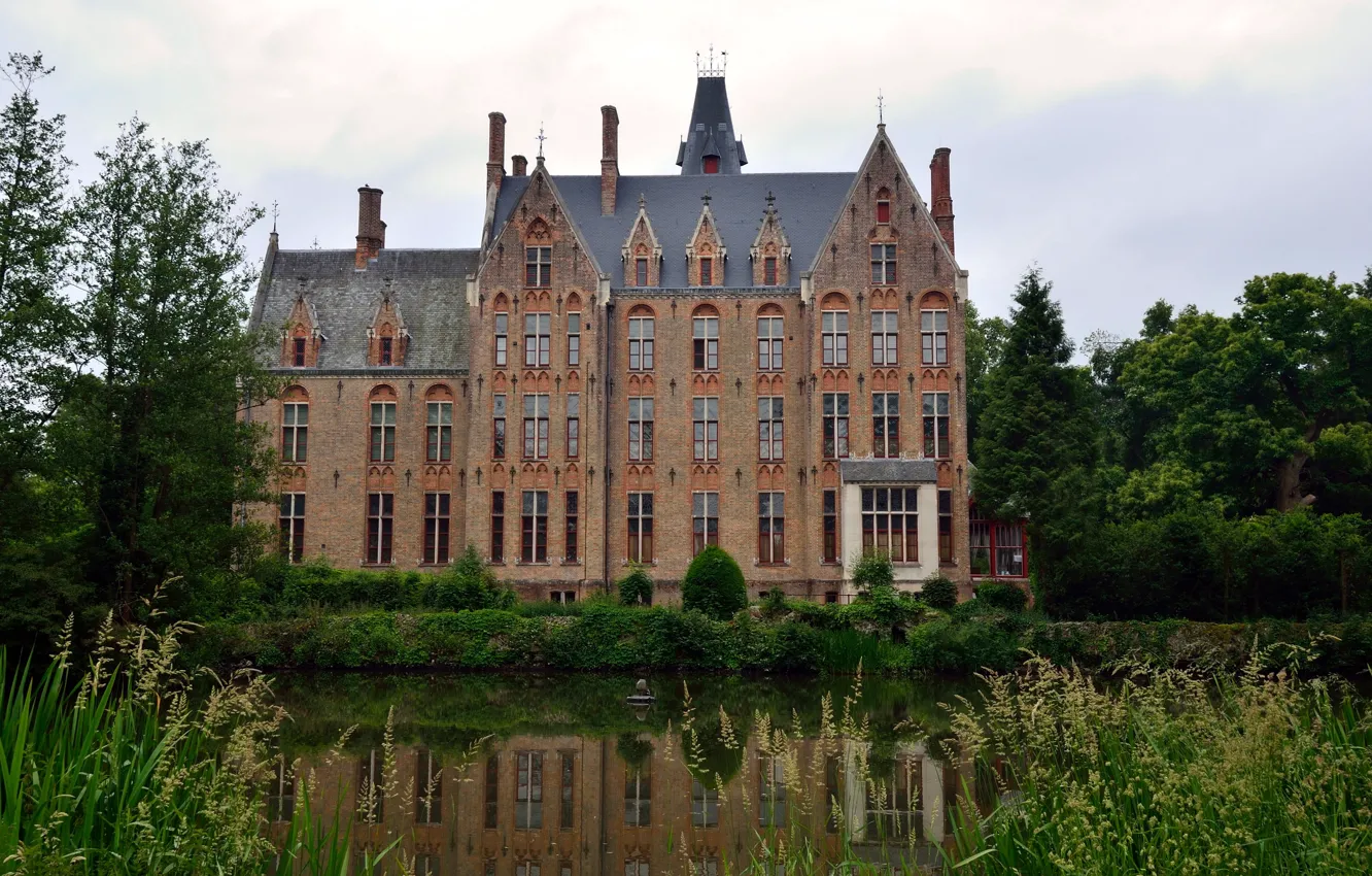 Photo wallpaper grass, trees, pond, castle