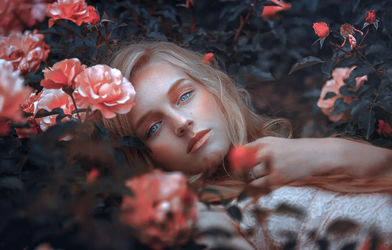 Photo wallpaper look, girl, flowers, face, cutie