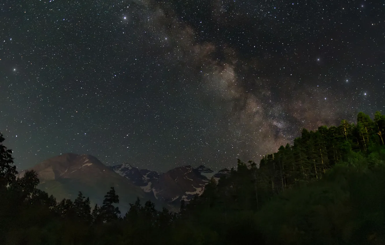 Photo wallpaper stars, trees, night, beauty, Elbrus, Kudashkina Ksenia