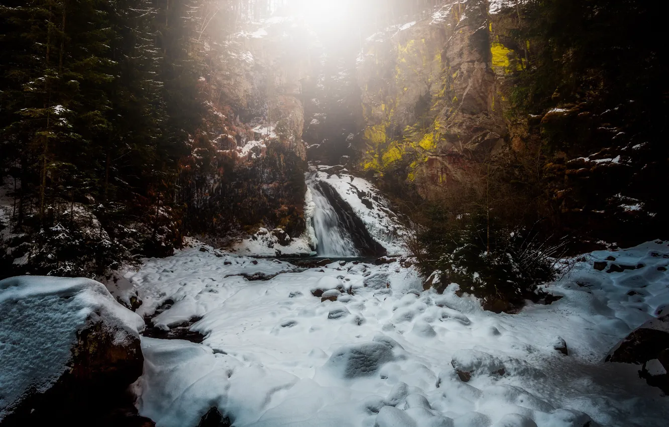 Photo wallpaper winter, forest, river, waterfall