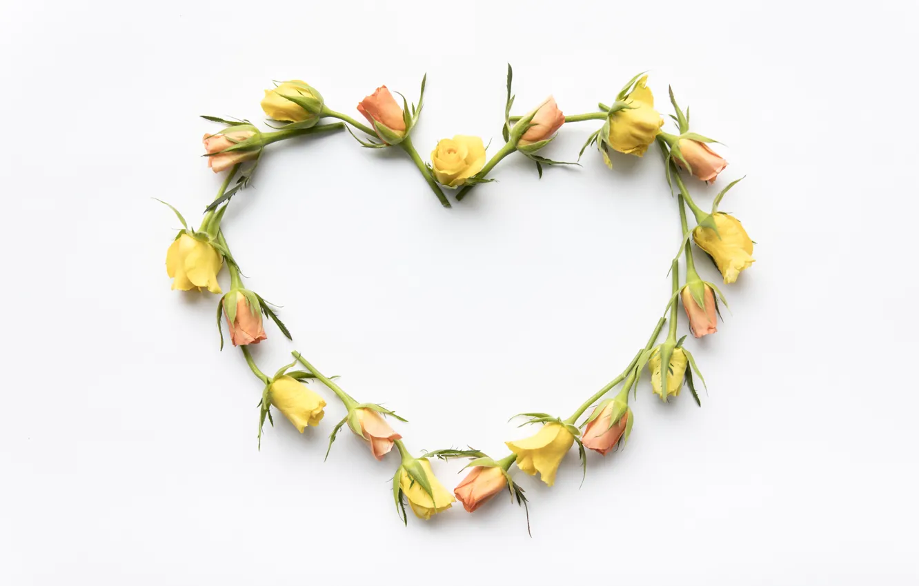 Photo wallpaper love, flowers, yellow, heart, roses, love, buds, heart
