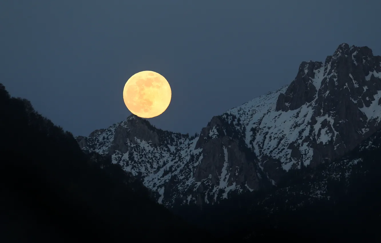 Photo wallpaper winter, the sky, snow, trees, mountains, night, nature, rocks