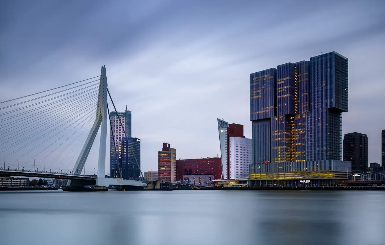 Photo wallpaper the city, port, Rotterdam