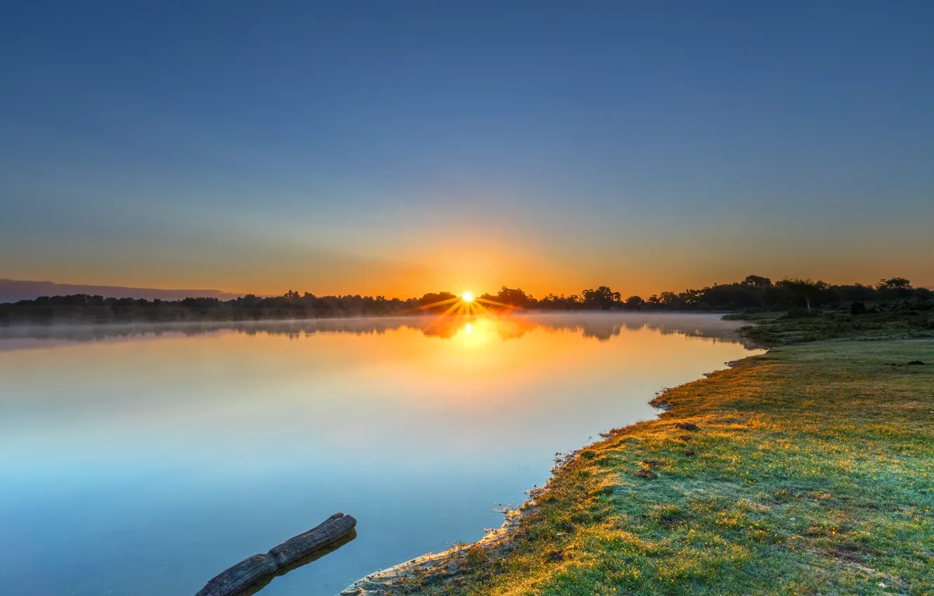 Photo wallpaper summer, the sun, sunset, blue, shore, log, pond