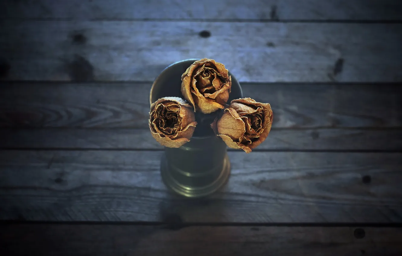Photo wallpaper flowers, background, roses