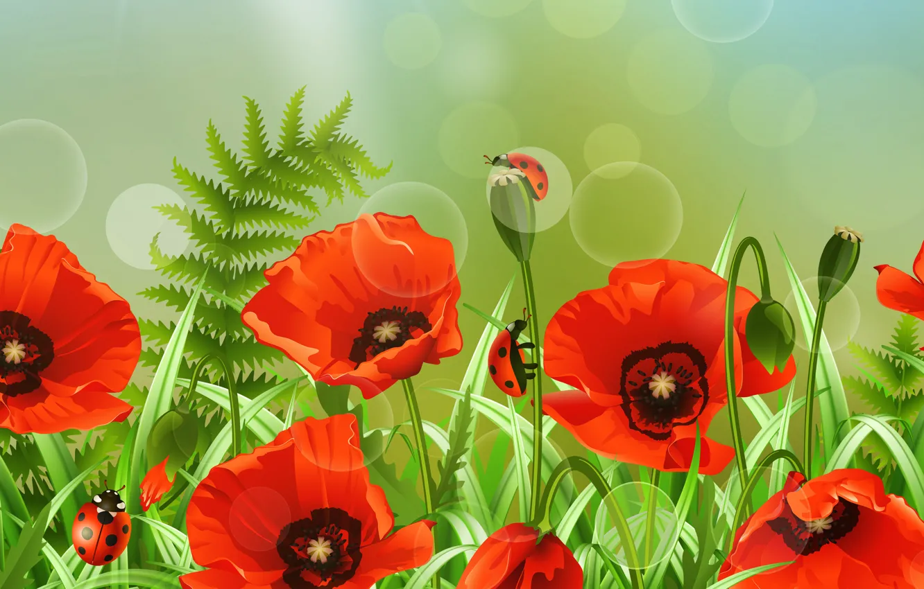 Photo wallpaper field, flower, summer, figure, Mac, Maki, painting