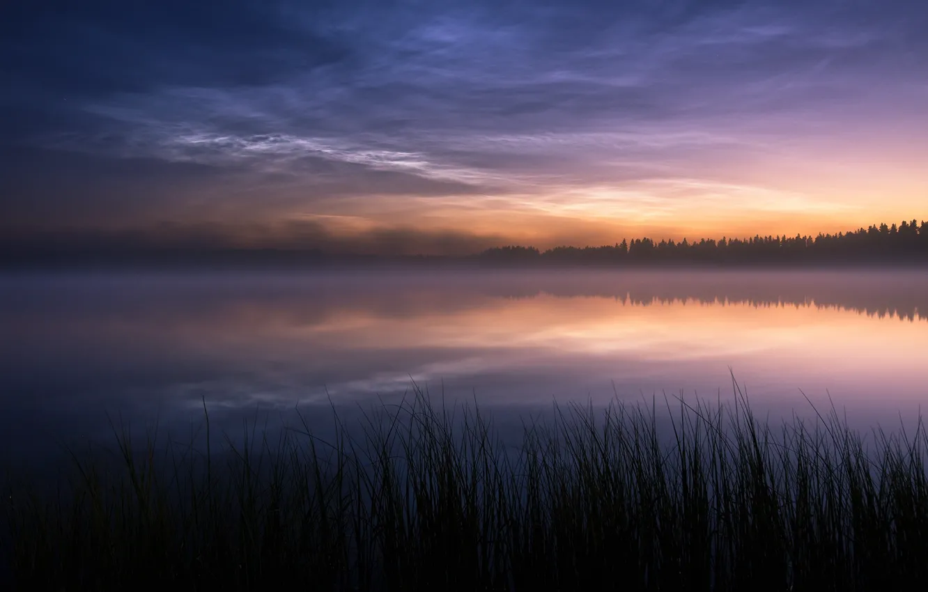 Photo wallpaper nature, fog, lake, the evening