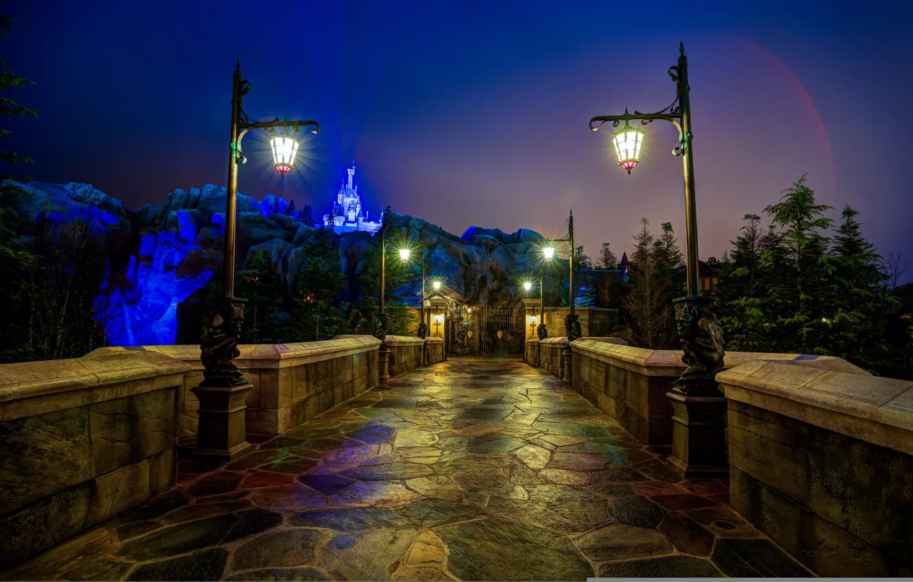 Photo wallpaper night, castle, FL, lights, USA, USA, Disneyland, Orlando