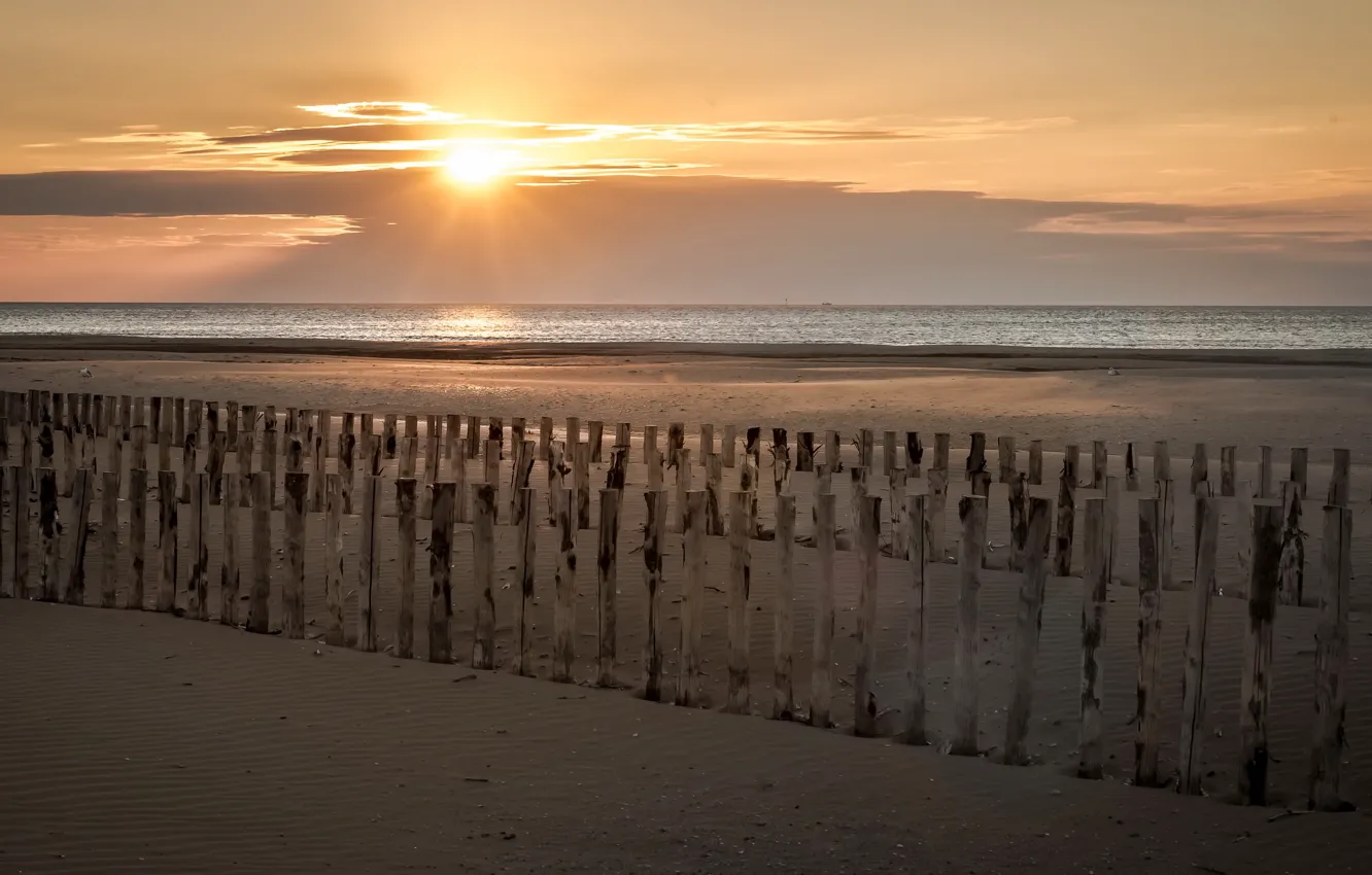 Photo wallpaper summer, beach, sea, sunset, sun