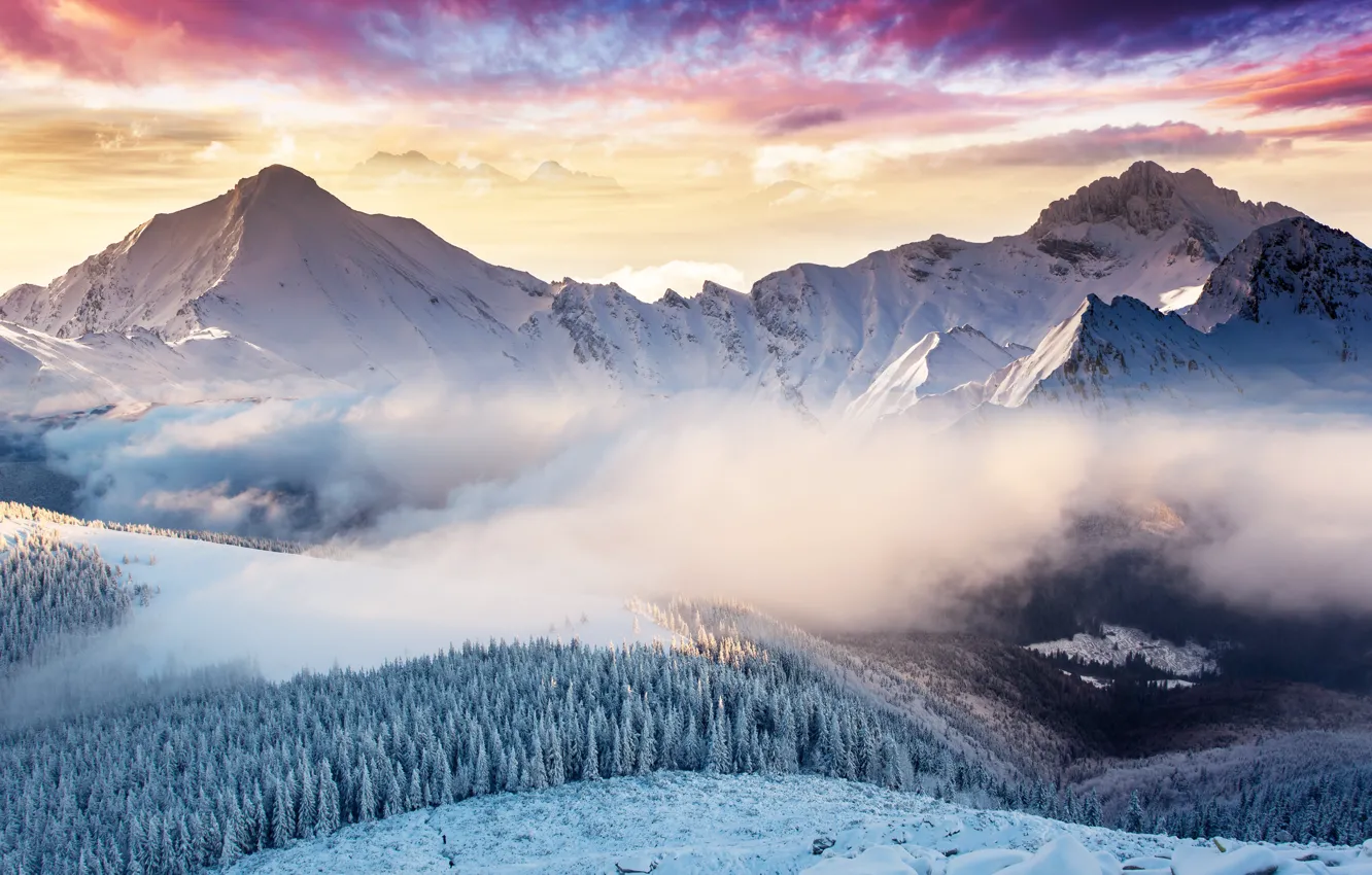 Photo wallpaper Microsoft, windows, Monoblock, SurfaceStudio, newwallpapers, 28inch