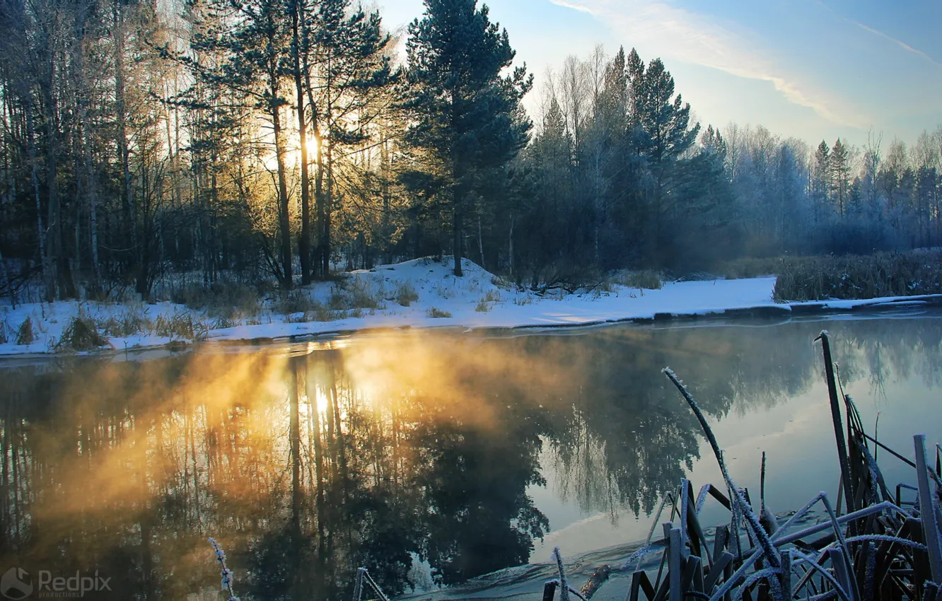 Photo wallpaper light, snow, trees, landscape, nature, river, morning