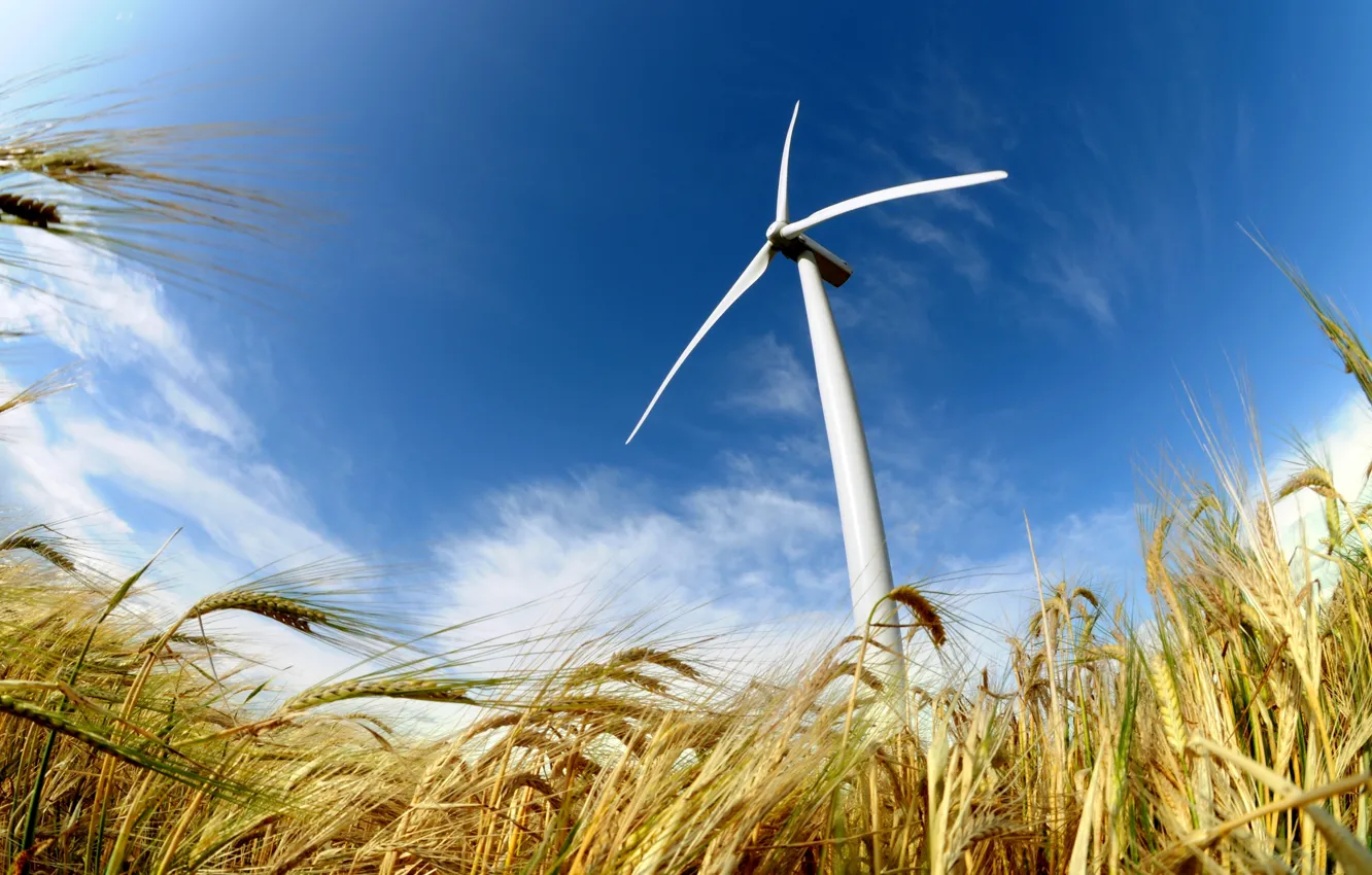 Photo wallpaper field, power, energy, wind, wind turbine