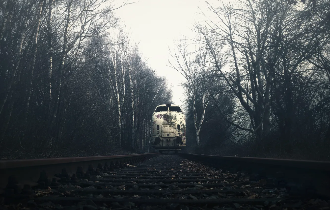 Photo wallpaper fog, train, railroad