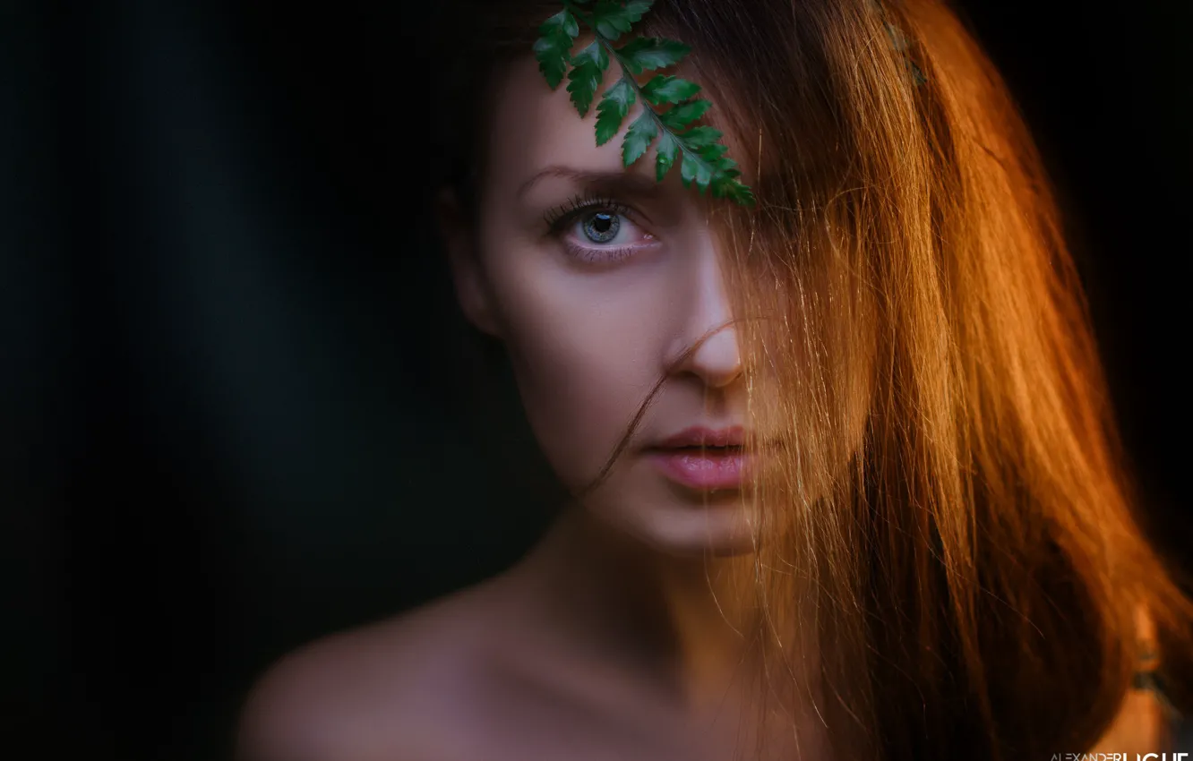 Photo wallpaper look, face, hair, portrait, leaf, black background, Alexander Drobkov-Light, Natasha Novichkova