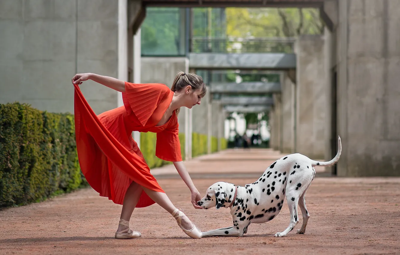 Photo wallpaper girl, dance, dog