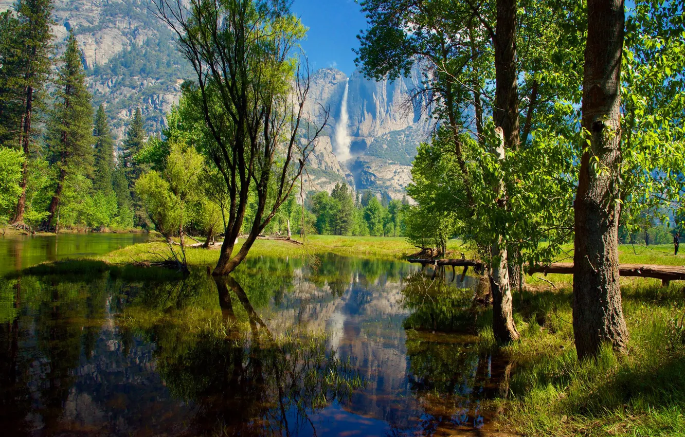 Photo wallpaper greens, forest, the sun, trees, river, rocks, waterfall, CA