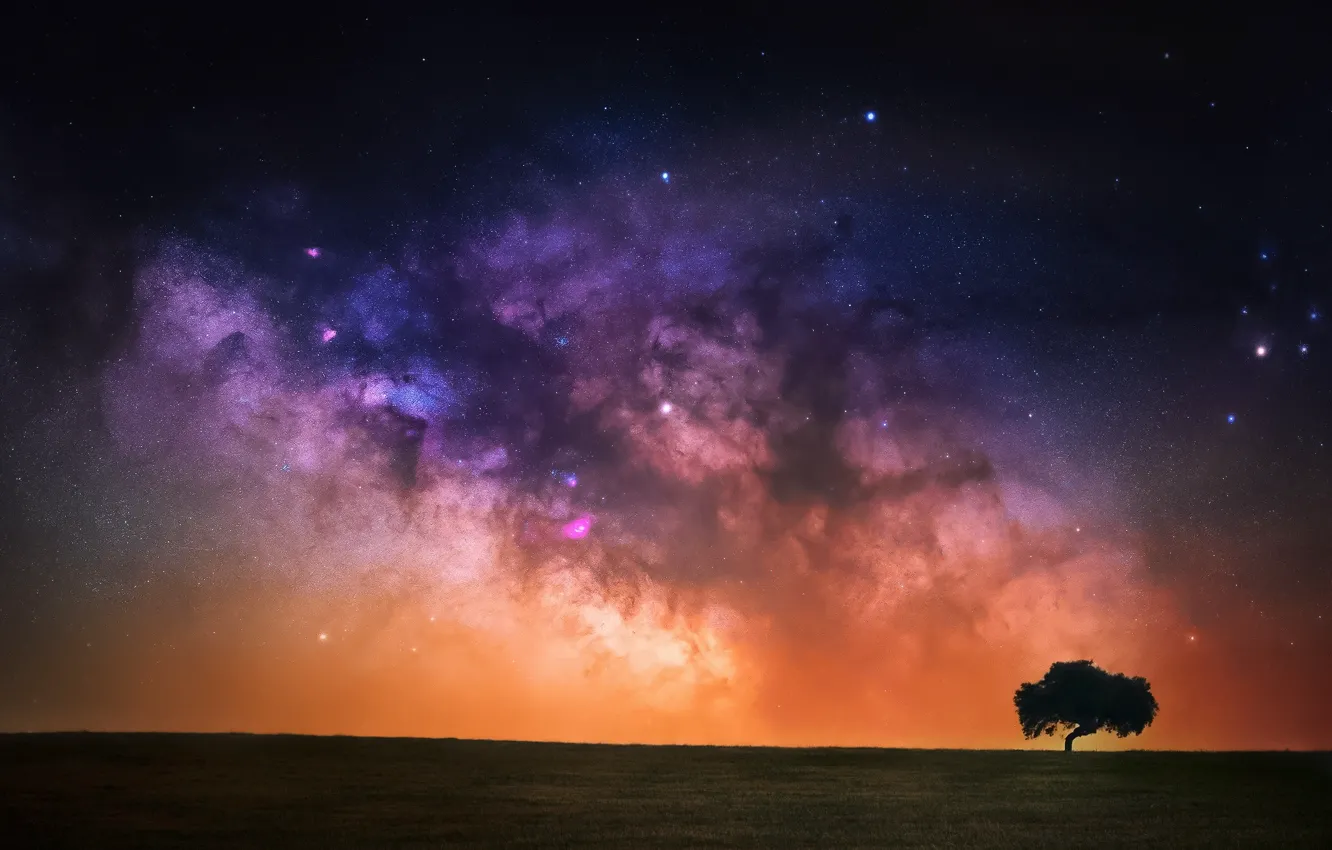 Photo wallpaper field, the sky, space, stars, trees, night