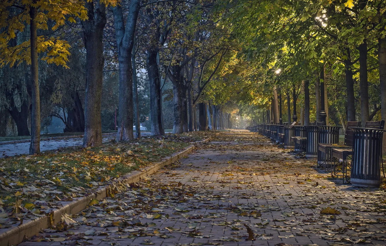 Photo wallpaper autumn, bench, Park, the sidewalk