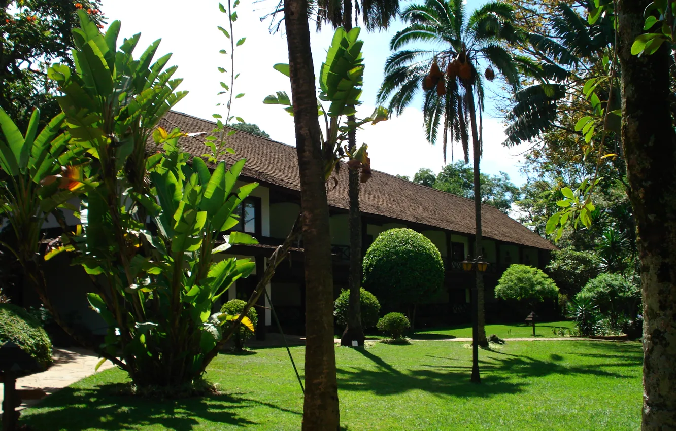 Photo wallpaper grass, trees, garden, Kenya