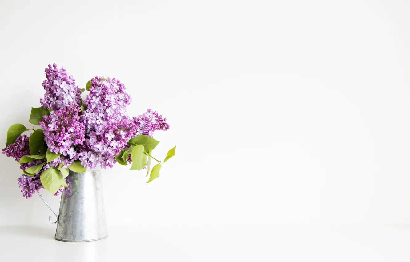 Photo wallpaper flowers, bouquet, lilac, polyvalent