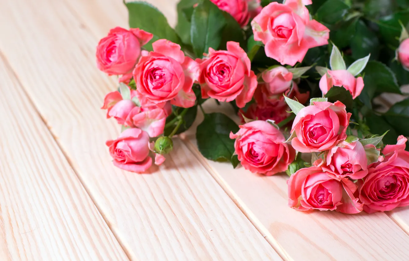 Photo wallpaper leaves, flowers, Board, roses, bouquet, lies, pink, buds