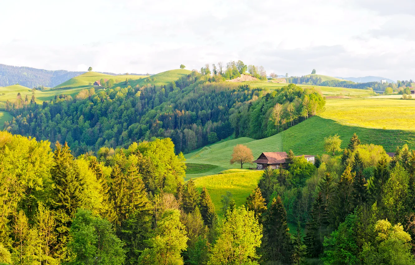 Photo wallpaper forest, trees, house, hills, field, Switzerland, meadows, Tessin