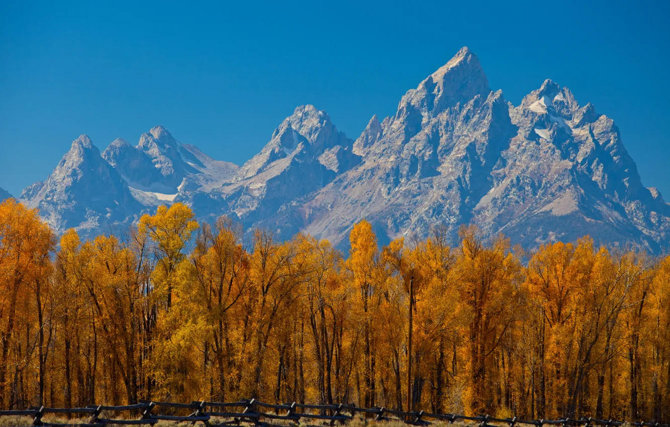 Photo wallpaper autumn, the sky, leaves, trees, mountains, the fence