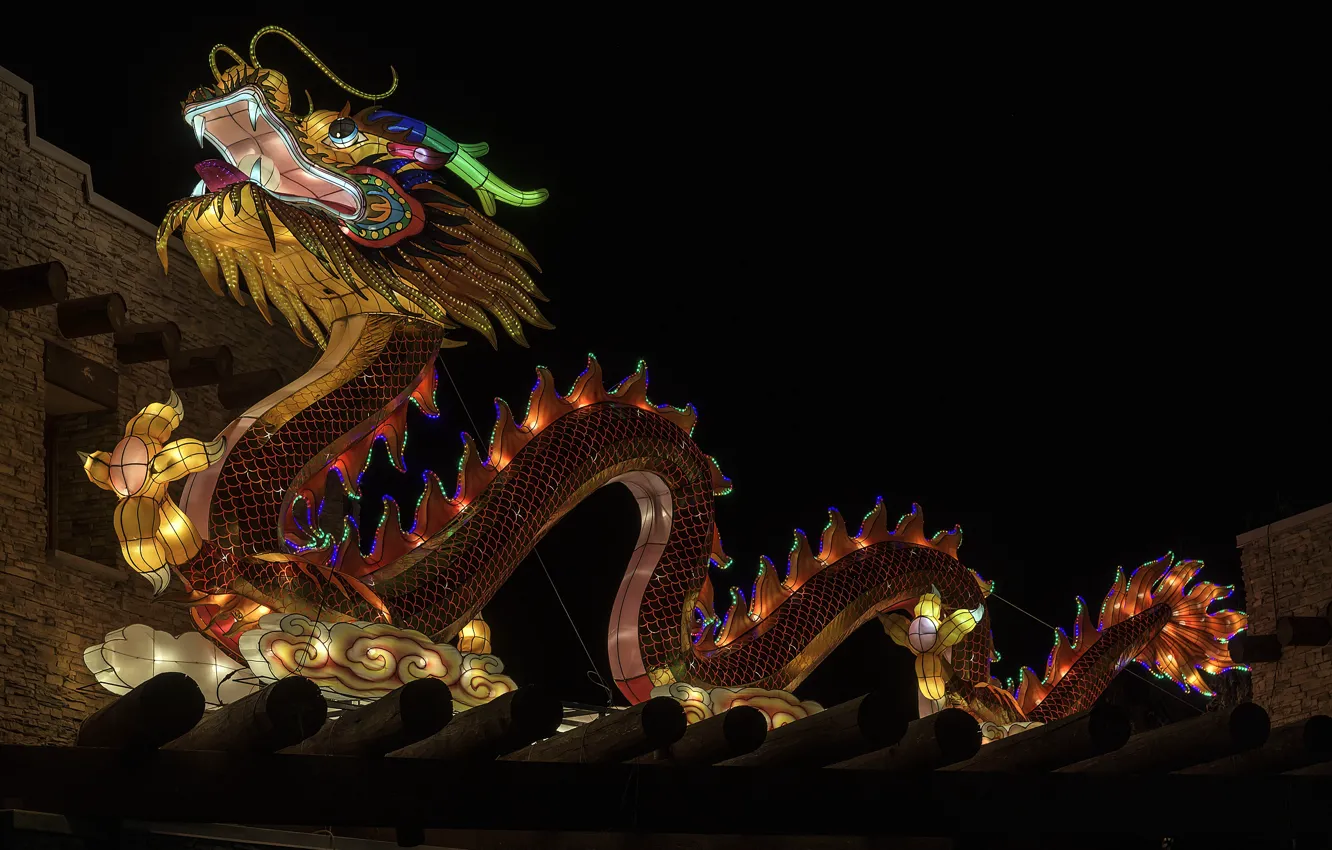 Photo wallpaper night, figure, Chinese dragon