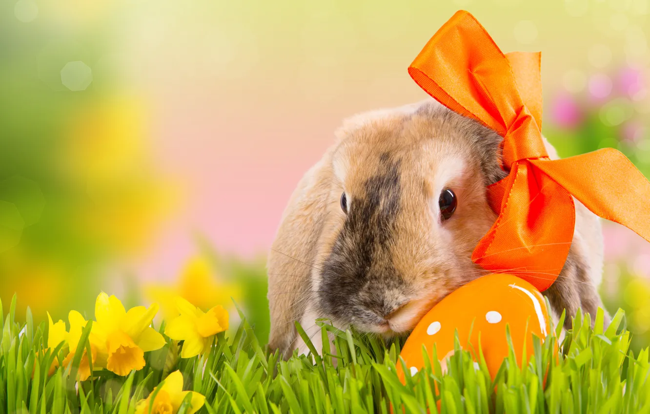 Photo wallpaper grass, flowers, nature, holiday, egg, spring, rabbit, Easter