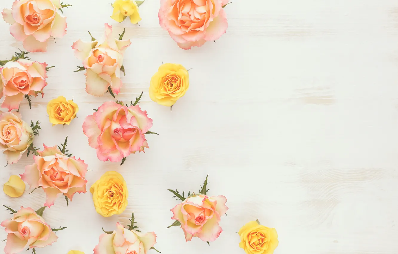 Photo wallpaper wood, flowers, roses